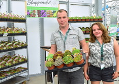 Martijn and Nadja Slappendel of Nursery Slappendel with their Sedummix. Martijn is the third generation of family Slappendel dedicated to growing nice quality rock plants.